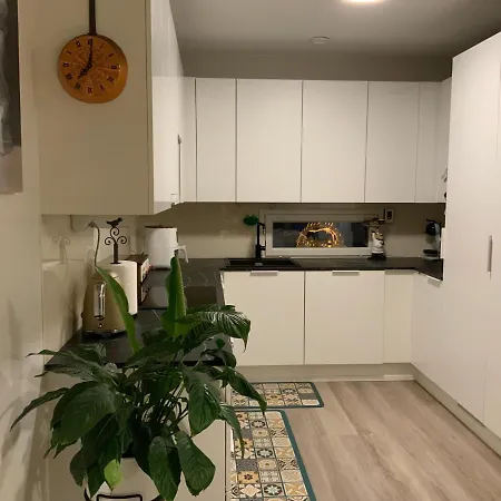 Qnq - Private In The Shared Detached House 아파트