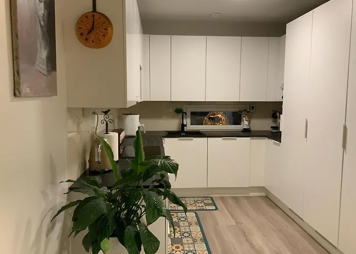 Qnq - Private In The Shared Detached House Appartement